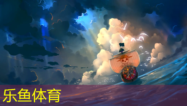 乐鱼体育,新力量跆拳道护具价格表