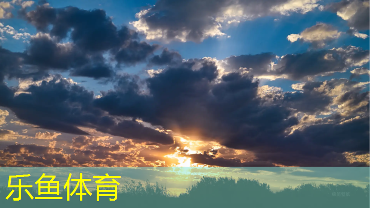 <strong>乐鱼体育,龙岩悬浮塑胶跑道价格</strong>