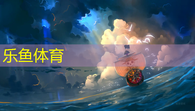 乐鱼体育,结纹塑胶跑道规格