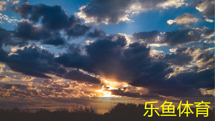 leyu·乐鱼(中国)体育官方网站,星健塑胶跑道