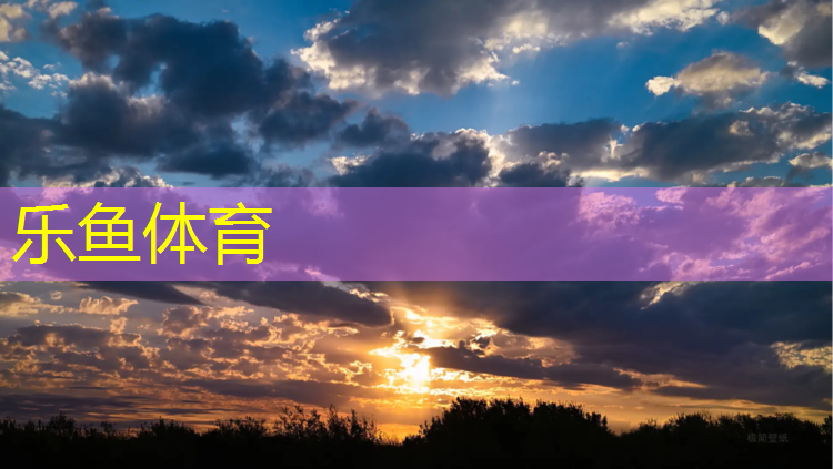 leyu·乐鱼(中国)体育官方网站,塑胶跑道彩绘怎么施工好