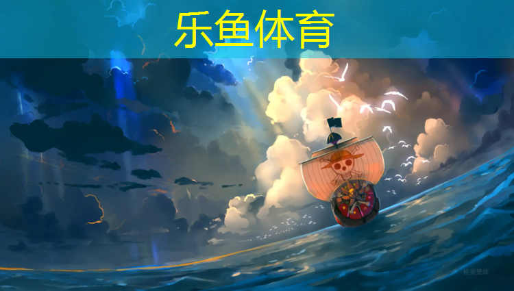 新力量跆拳道护具价格表