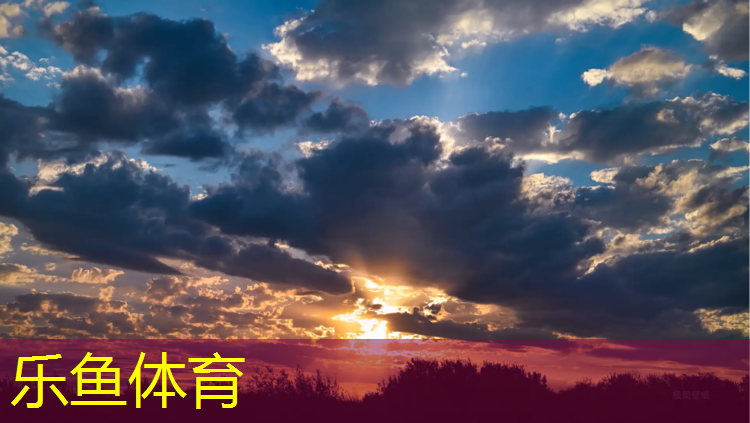 当狗狗遇到网球网带