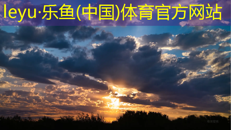 龙岩悬浮塑胶跑道价格
