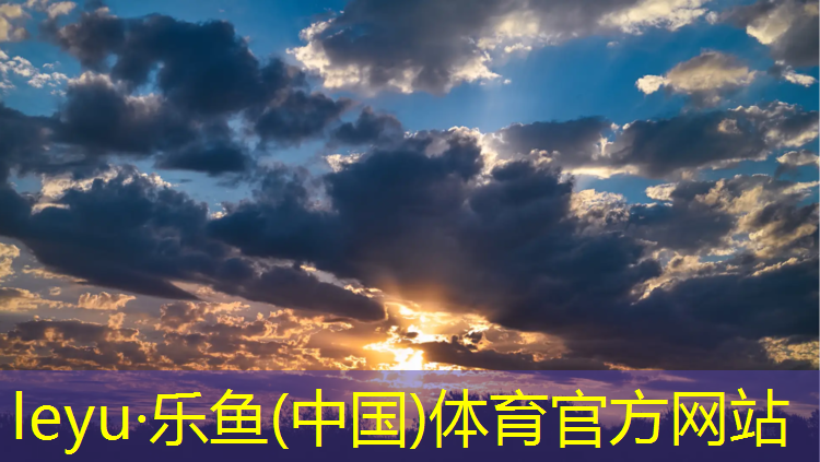 中卫特制塑胶跑道装饰材料