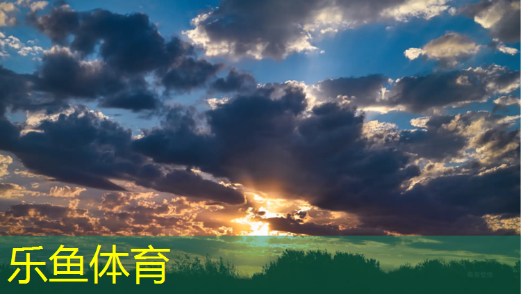 东兴环保型塑胶跑道