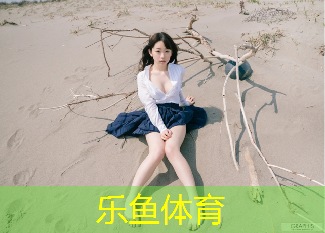 手拉式踏步机健身器材商用